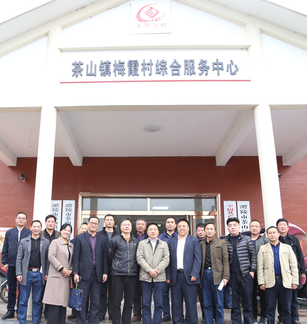 九州网页版党委书记张格林深入茶山镇梅霞村指导脱贫攻坚工作